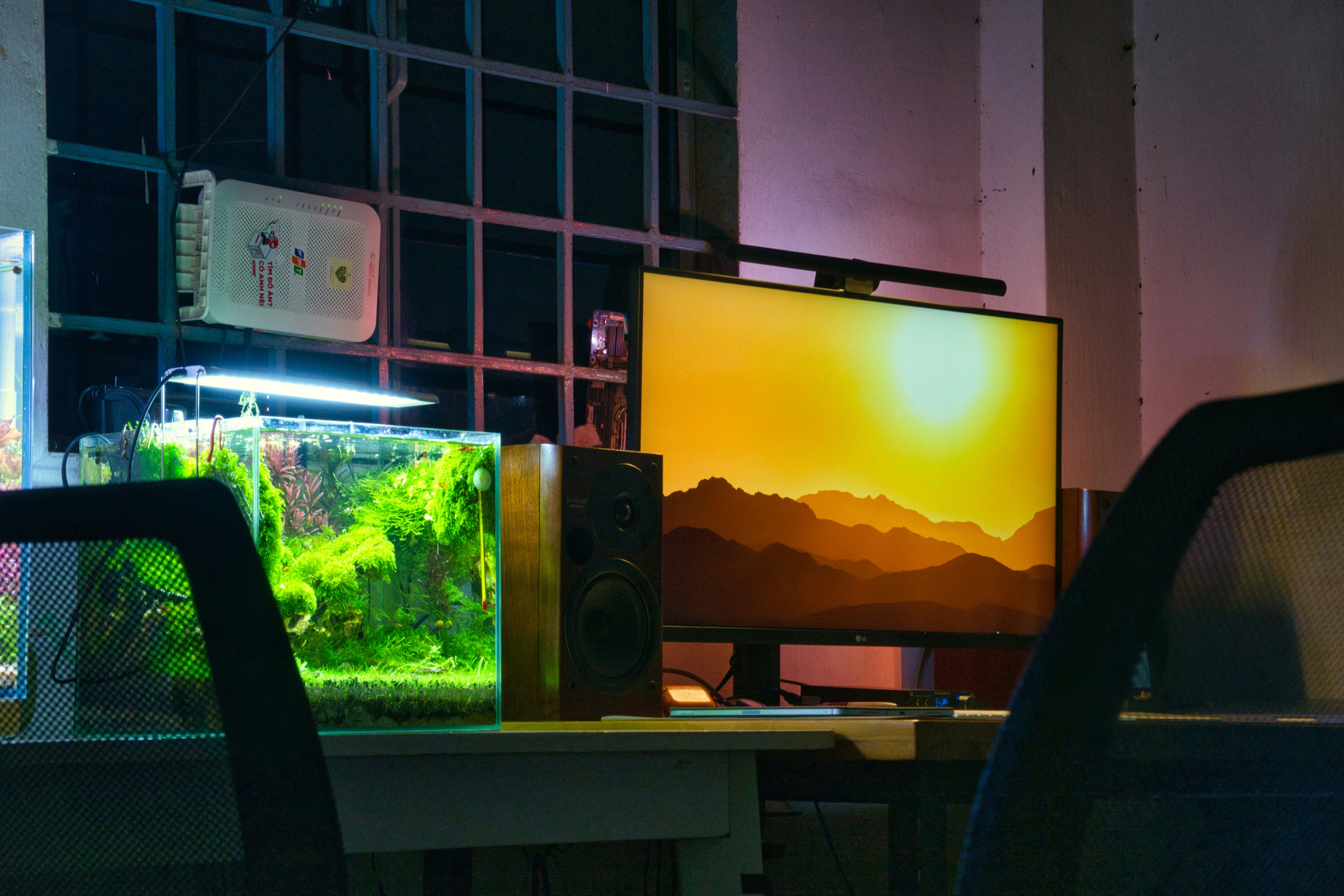 Home Aquarium